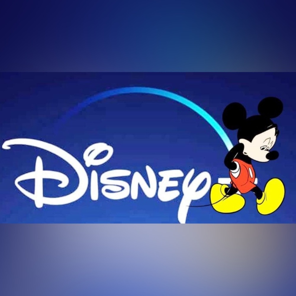 Disney mystery box